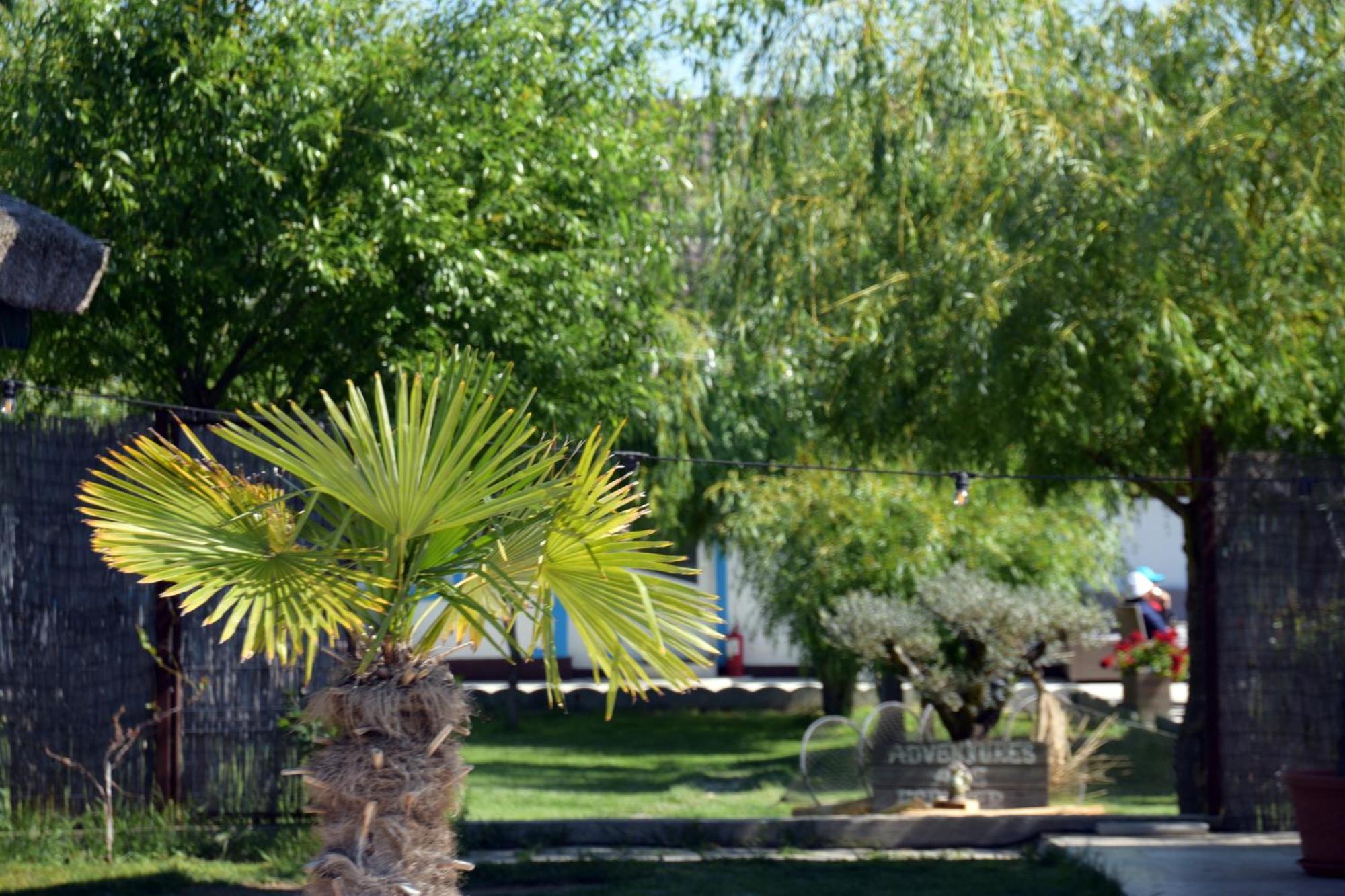 Complex Turistic Casa Anastasia Murighiol Dış mekan fotoğraf