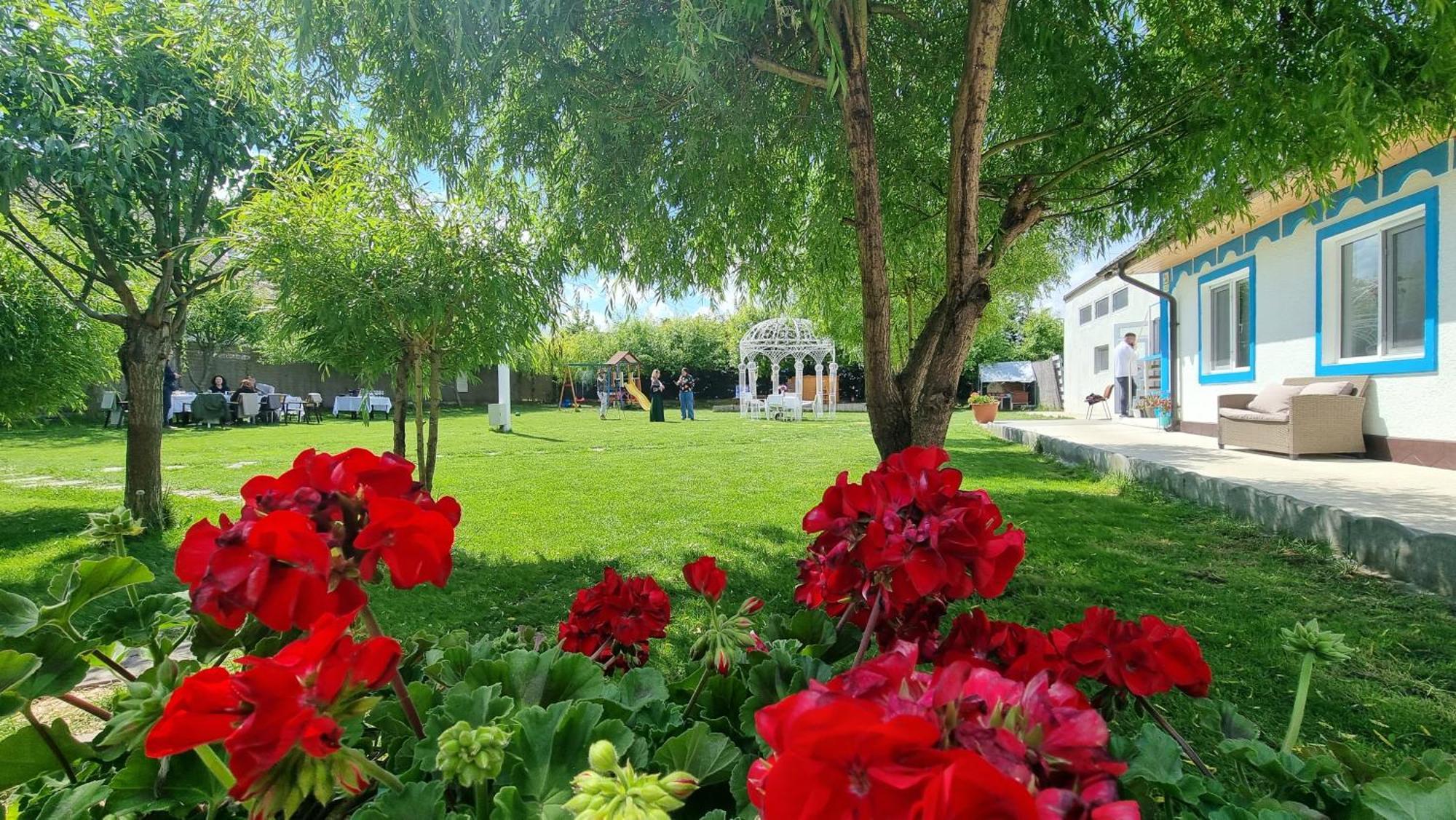 Complex Turistic Casa Anastasia Murighiol Dış mekan fotoğraf