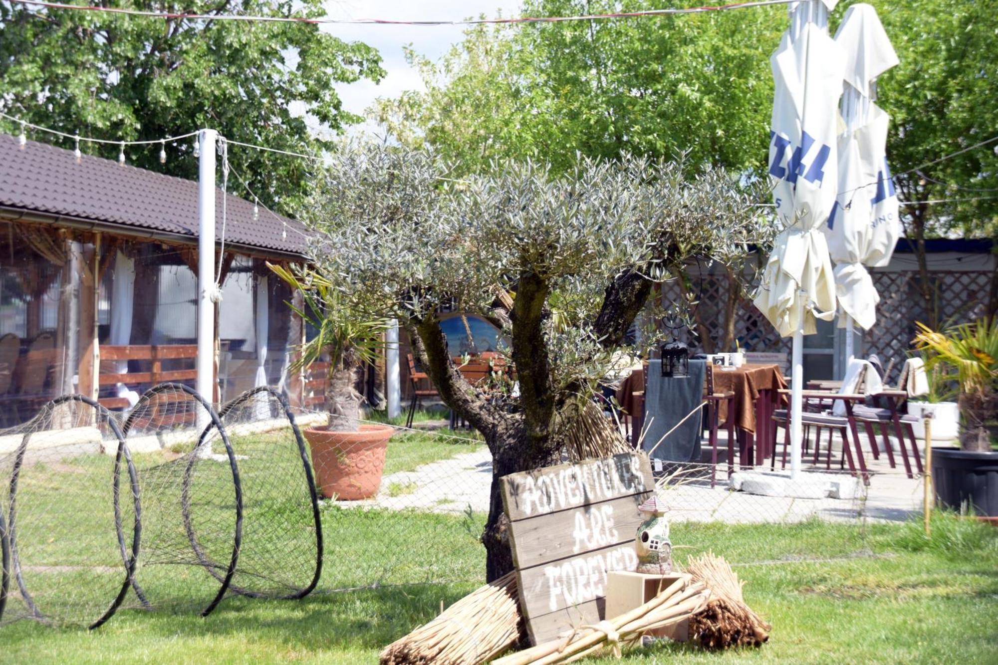 Complex Turistic Casa Anastasia Murighiol Dış mekan fotoğraf